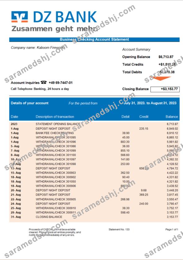 DZ Bank organization statement Word and PDF template